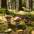 Pack 3 PTIPOTES : Champignon  🍄