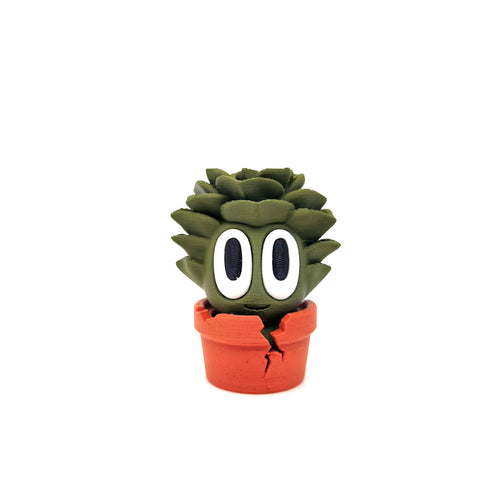 PTIPOT Cassé
